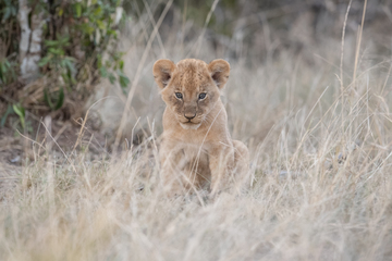 Africa-2018-005.jpg