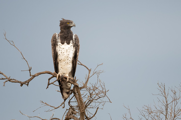 Africa-2018-007.jpg