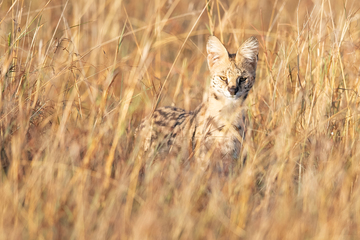 Africa-2018-013.jpg