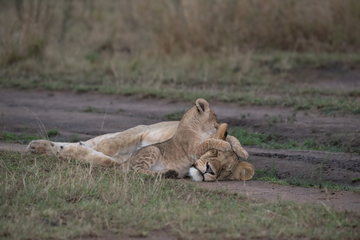 Africa-2018-034.jpg