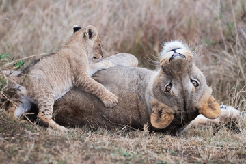 Africa-2018-044.jpg