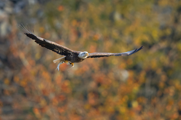 Conowingo-004.jpg