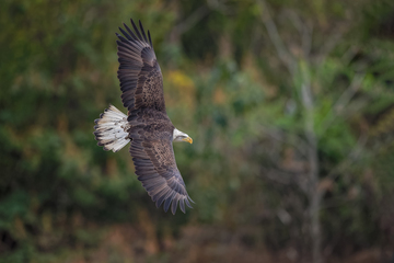 Conowingo-028.jpg