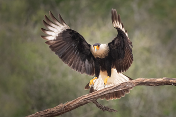 SantaClaraRanch-2019-006.jpg