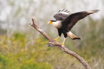 SantaClaraRanch-2019-007.jpg