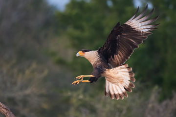 SantaClaraRanch-2019-018.jpg